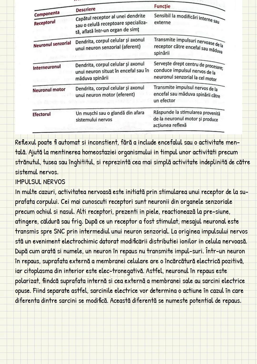 Medicina # Capitolul unu
Introducere în anatomie si
fiziologie
Anatomie
ANATOMIA MaCROSCOPICA STUDIAZA STRUCTURILE CORPULUI CARE SUNT VIZIBI