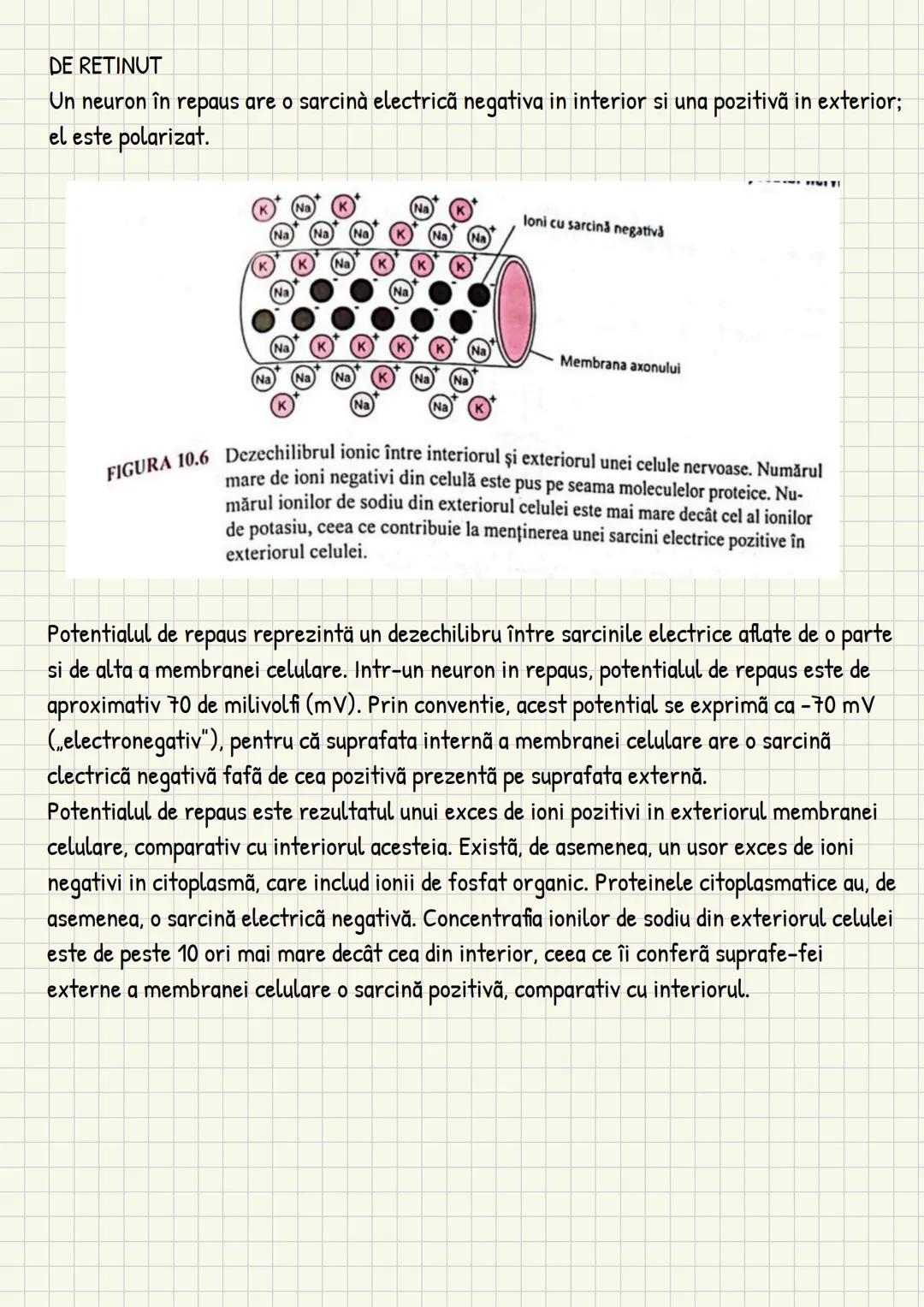 Medicina # Capitolul unu
Introducere în anatomie si
fiziologie
Anatomie
ANATOMIA MaCROSCOPICA STUDIAZA STRUCTURILE CORPULUI CARE SUNT VIZIBI