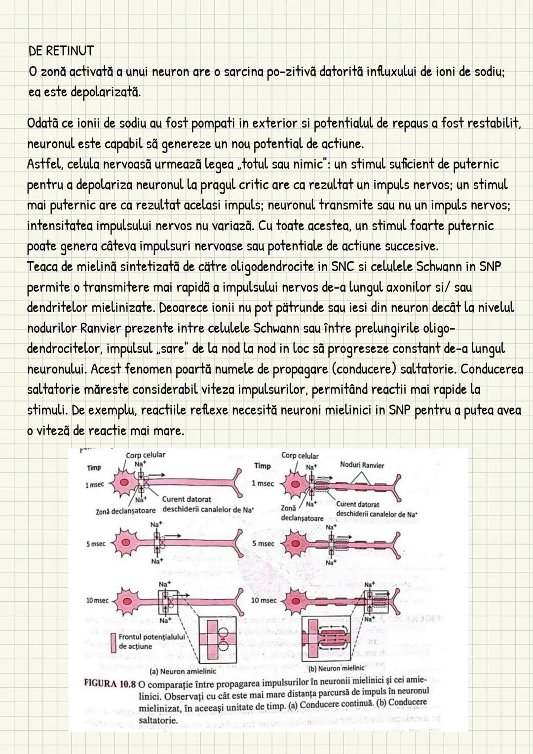 Medicina # Capitolul unu
Introducere în anatomie si
fiziologie
Anatomie
ANATOMIA MaCROSCOPICA STUDIAZA STRUCTURILE CORPULUI CARE SUNT VIZIBI