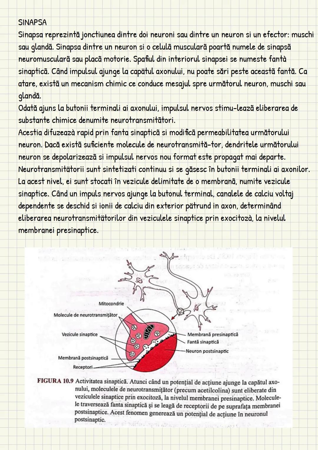 Medicina # Capitolul unu
Introducere în anatomie si
fiziologie
Anatomie
ANATOMIA MaCROSCOPICA STUDIAZA STRUCTURILE CORPULUI CARE SUNT VIZIBI
