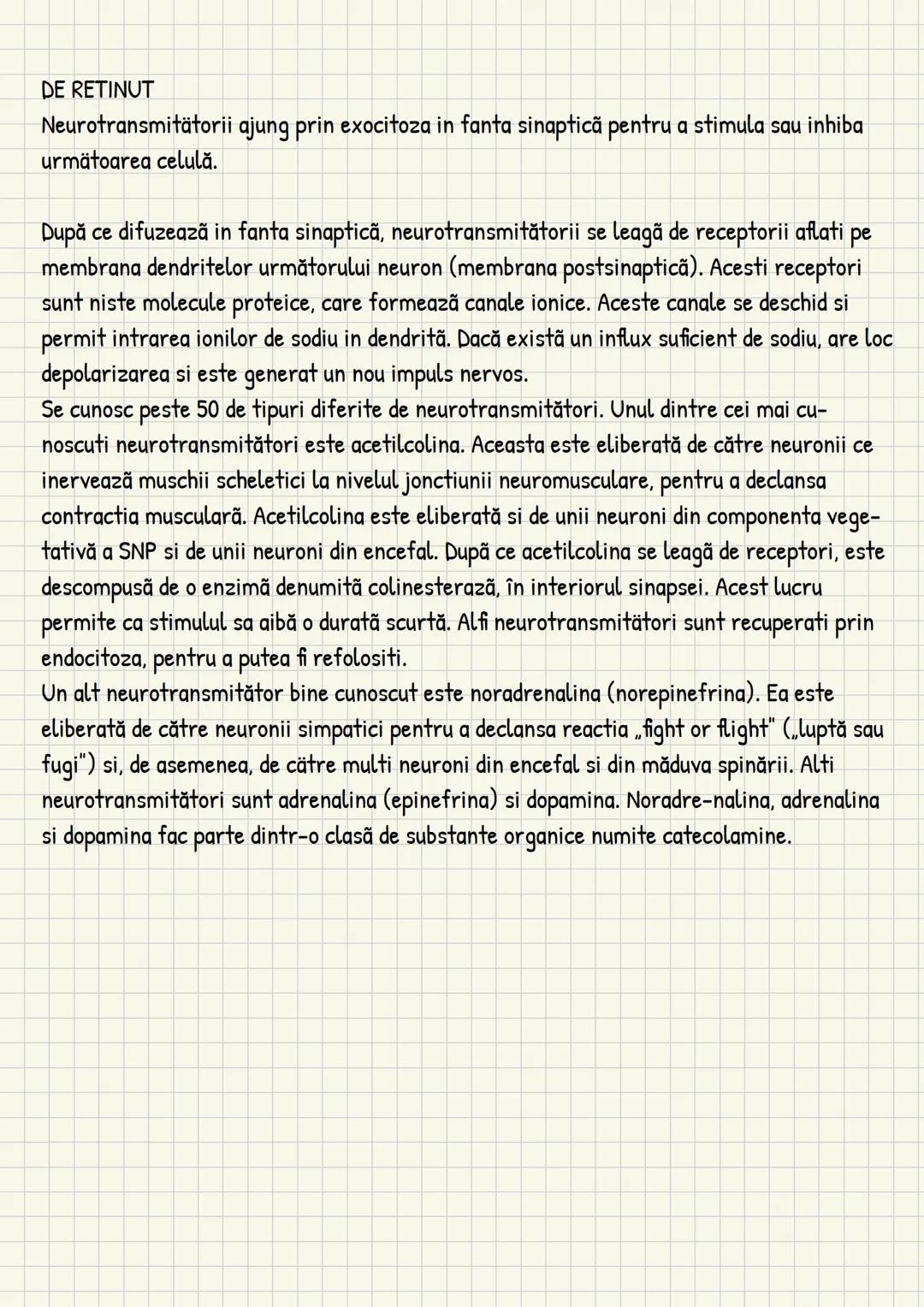 Medicina # Capitolul unu
Introducere în anatomie si
fiziologie
Anatomie
ANATOMIA MaCROSCOPICA STUDIAZA STRUCTURILE CORPULUI CARE SUNT VIZIBI
