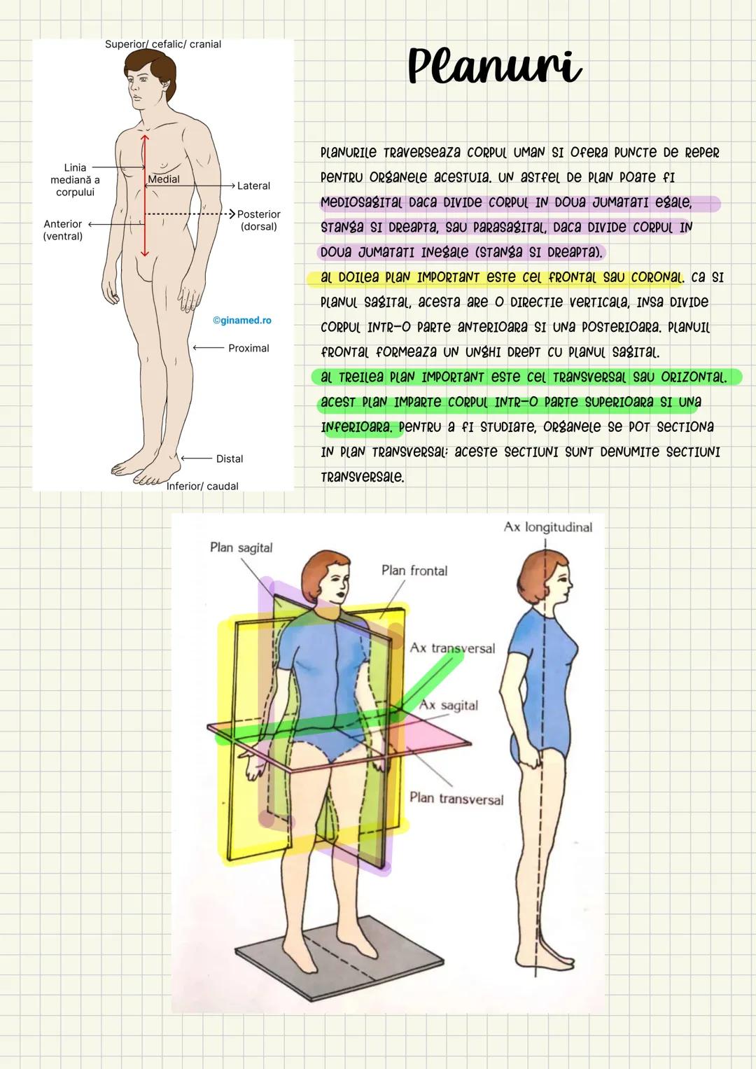Medicina # Capitolul unu
Introducere în anatomie si
fiziologie
Anatomie
ANATOMIA MaCROSCOPICA STUDIAZA STRUCTURILE CORPULUI CARE SUNT VIZIBI