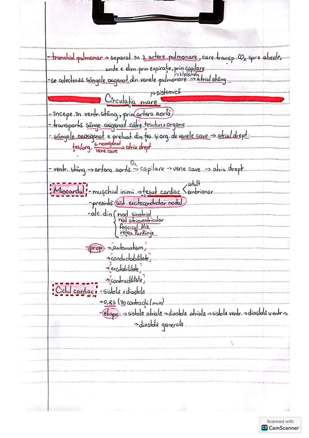 # SIST. CIRCULATORN
Sist.circulatorsist cardiovascular rinisende
Sist. cardiovascular
vase de sânge
sist limfatic (vase limfatice
ganglio