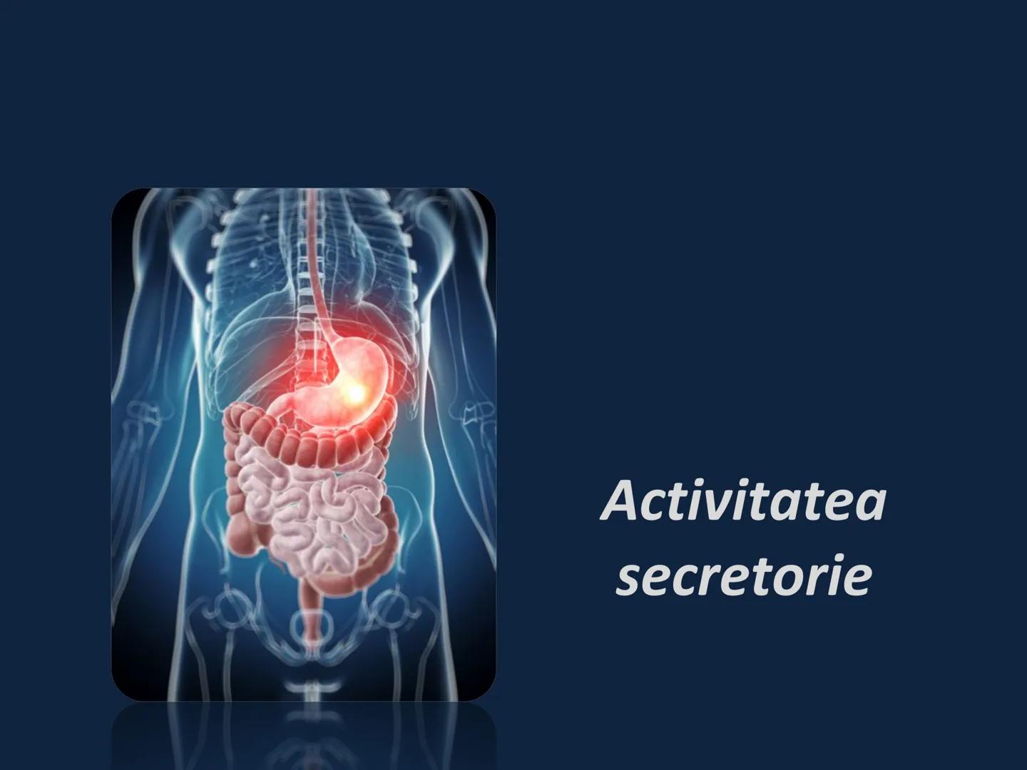 DIGESTIA ŞI ABSORBŢIA Generalități
• Sistemul digestiv = organe la
nivelul căruia se realizează:
☐ digestia alimentelor
☐ transformarea în p