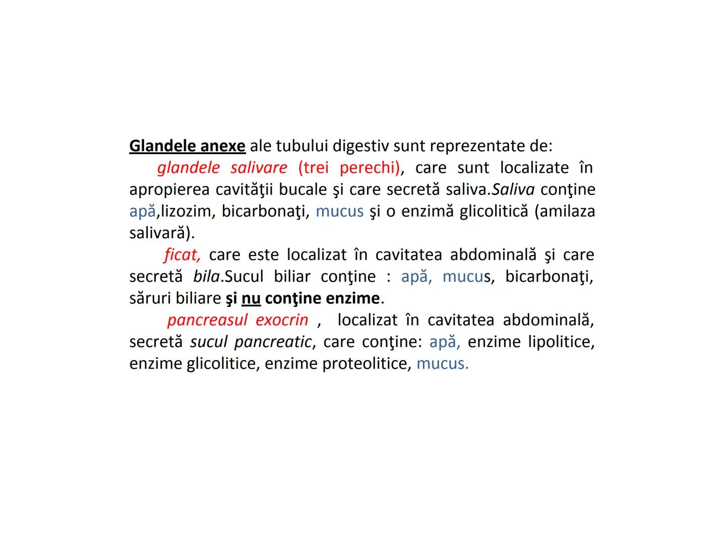 DIGESTIA ŞI ABSORBŢIA Generalități
• Sistemul digestiv = organe la
nivelul căruia se realizează:
☐ digestia alimentelor
☐ transformarea în p