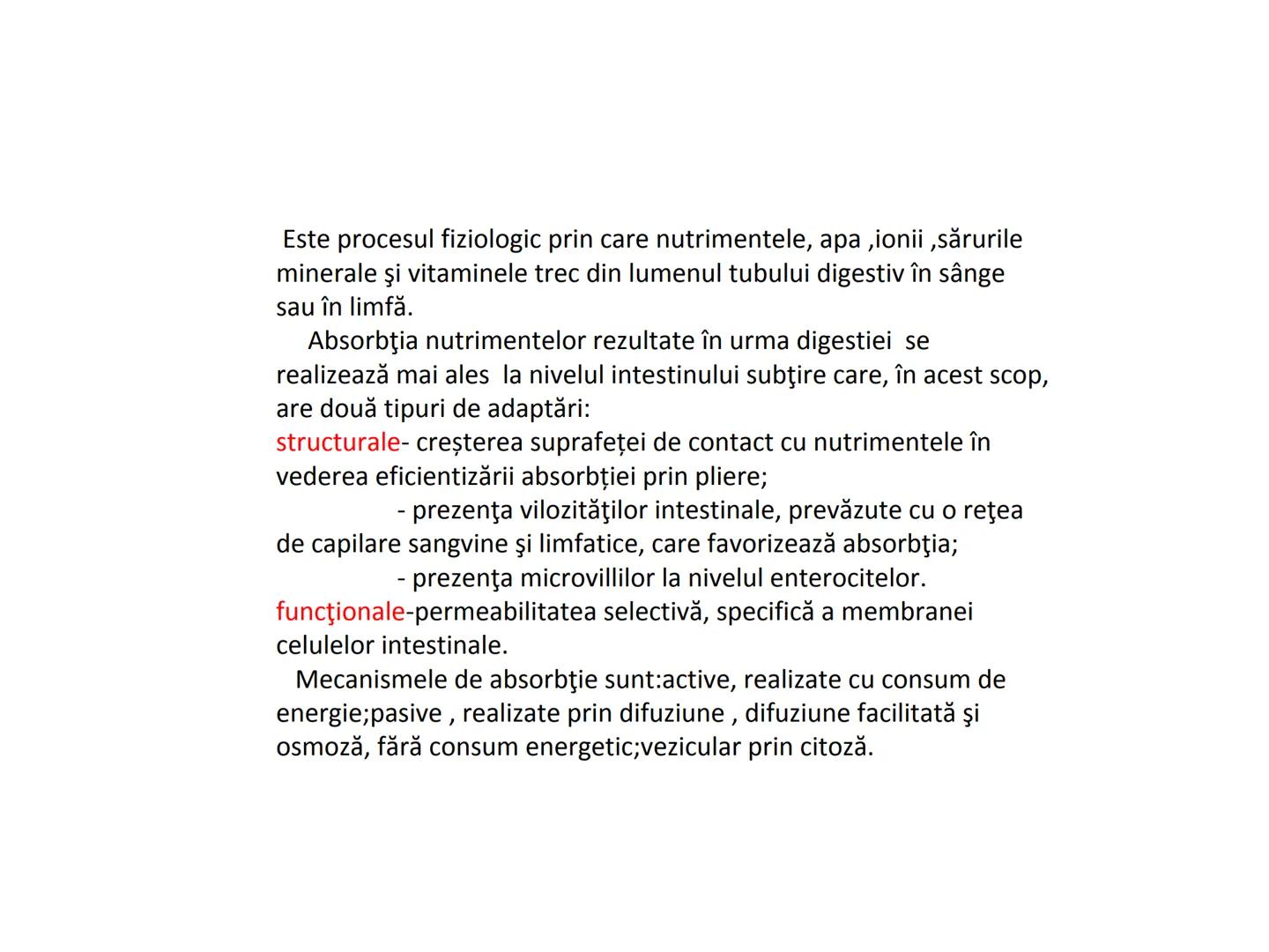 DIGESTIA ŞI ABSORBŢIA Generalități
• Sistemul digestiv = organe la
nivelul căruia se realizează:
☐ digestia alimentelor
☐ transformarea în p