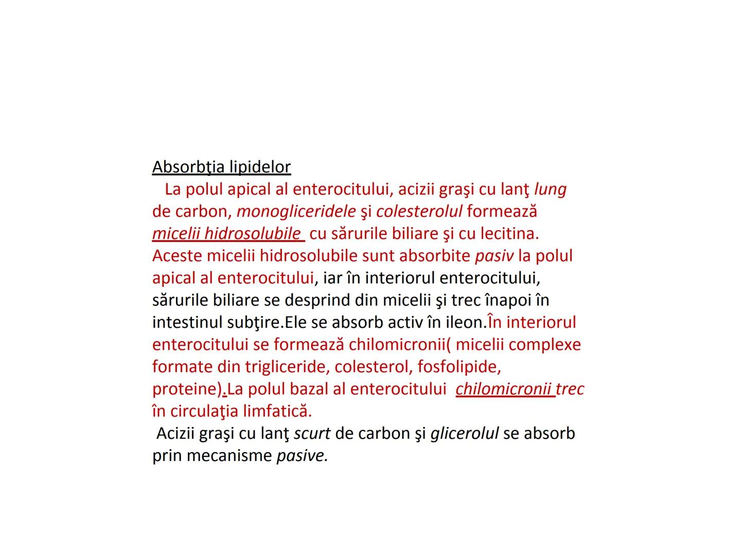 DIGESTIA ŞI ABSORBŢIA Generalități
• Sistemul digestiv = organe la
nivelul căruia se realizează:
☐ digestia alimentelor
☐ transformarea în p