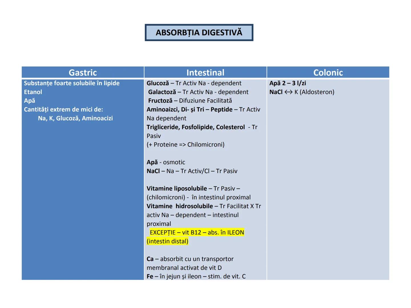 DIGESTIA ŞI ABSORBŢIA Generalități
• Sistemul digestiv = organe la
nivelul căruia se realizează:
☐ digestia alimentelor
☐ transformarea în p