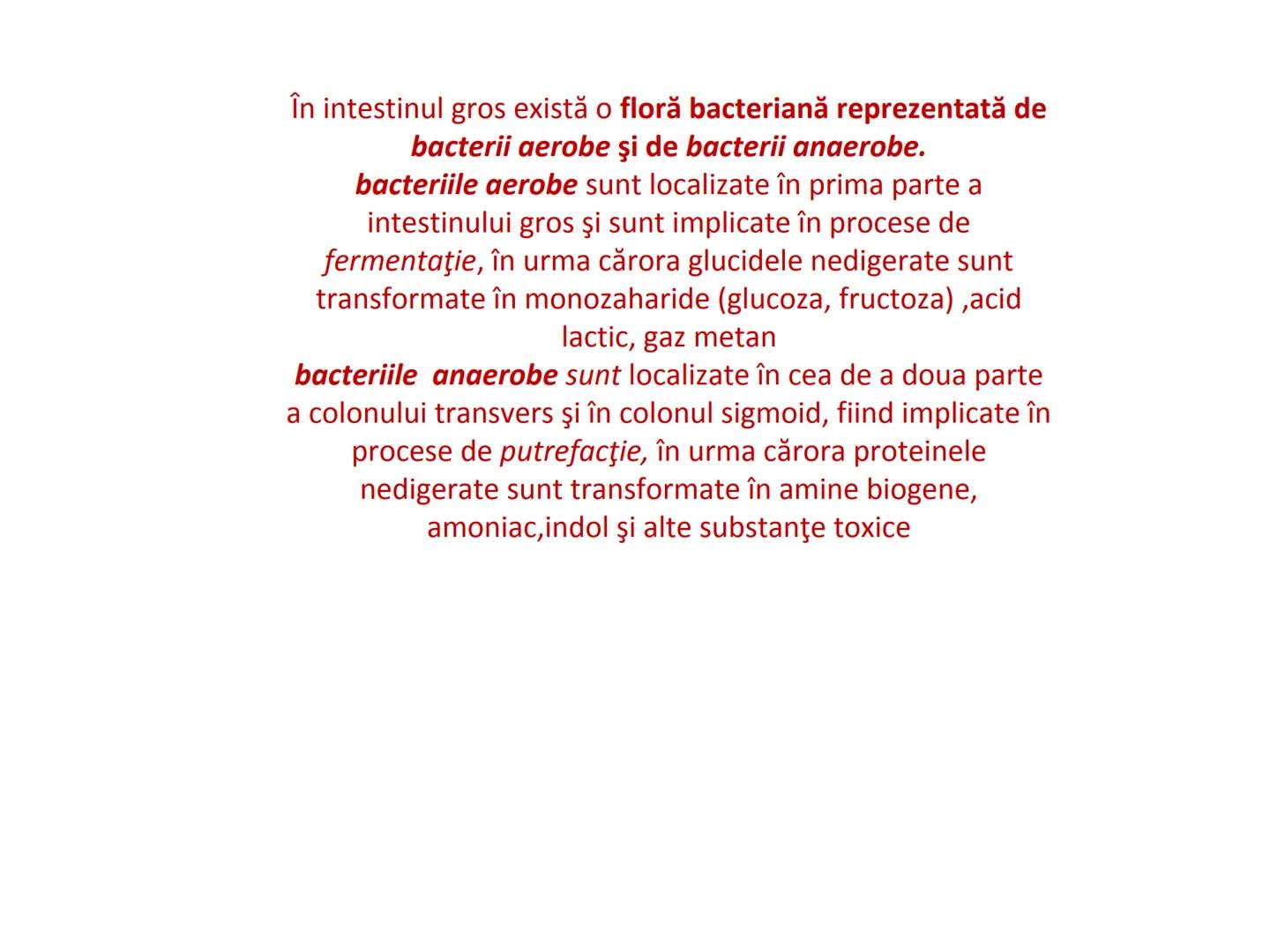 DIGESTIA ŞI ABSORBŢIA Generalități
• Sistemul digestiv = organe la
nivelul căruia se realizează:
☐ digestia alimentelor
☐ transformarea în p