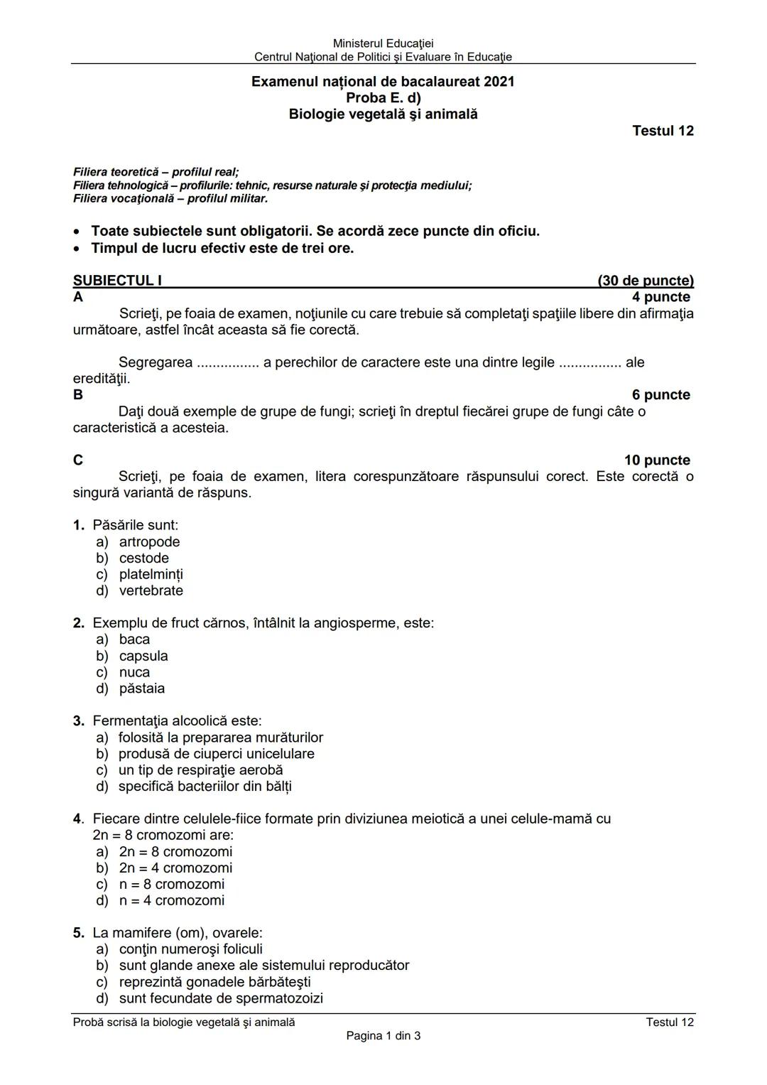 Test de bac antrenament