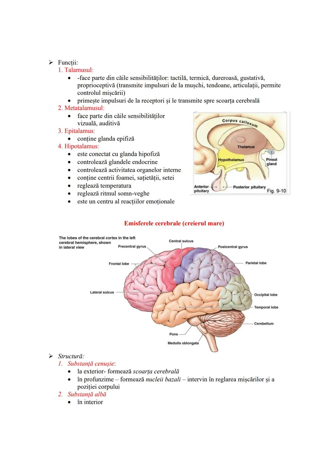 # SISTEMUL NERVOS
- recepționează, transmite și integrează informațiile din mediul extern şi intern
- în urma analizei informațiilor primit