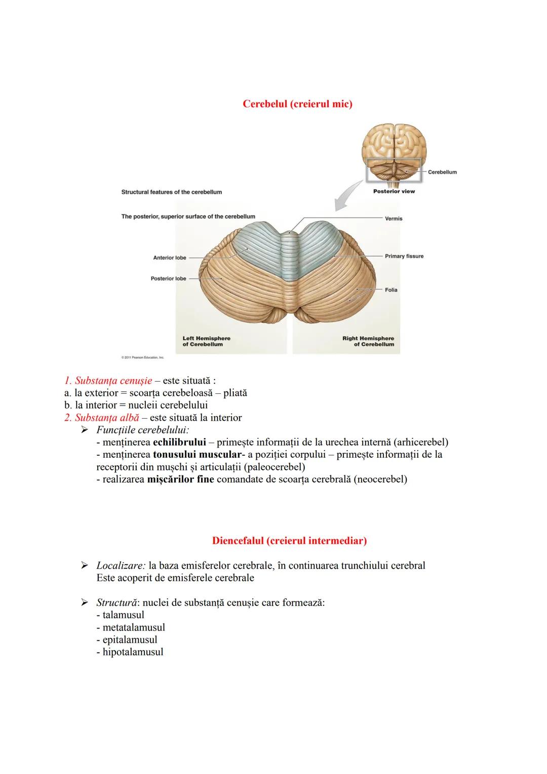 # SISTEMUL NERVOS
- recepționează, transmite și integrează informațiile din mediul extern şi intern
- în urma analizei informațiilor primit