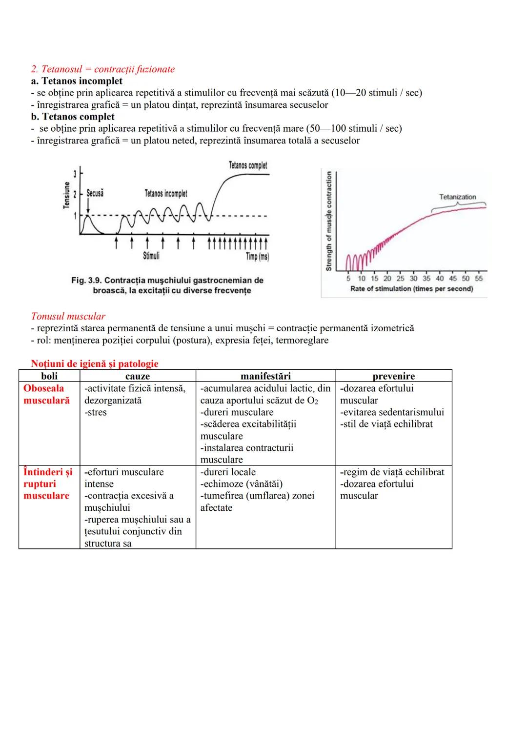 MIŞCAREA
Realizată de sistemul locomotor care cuprinde - sistemele osos şi muscular
SISTEMUL OSOS - partea pasivă a mişcării
-totalitatea oa