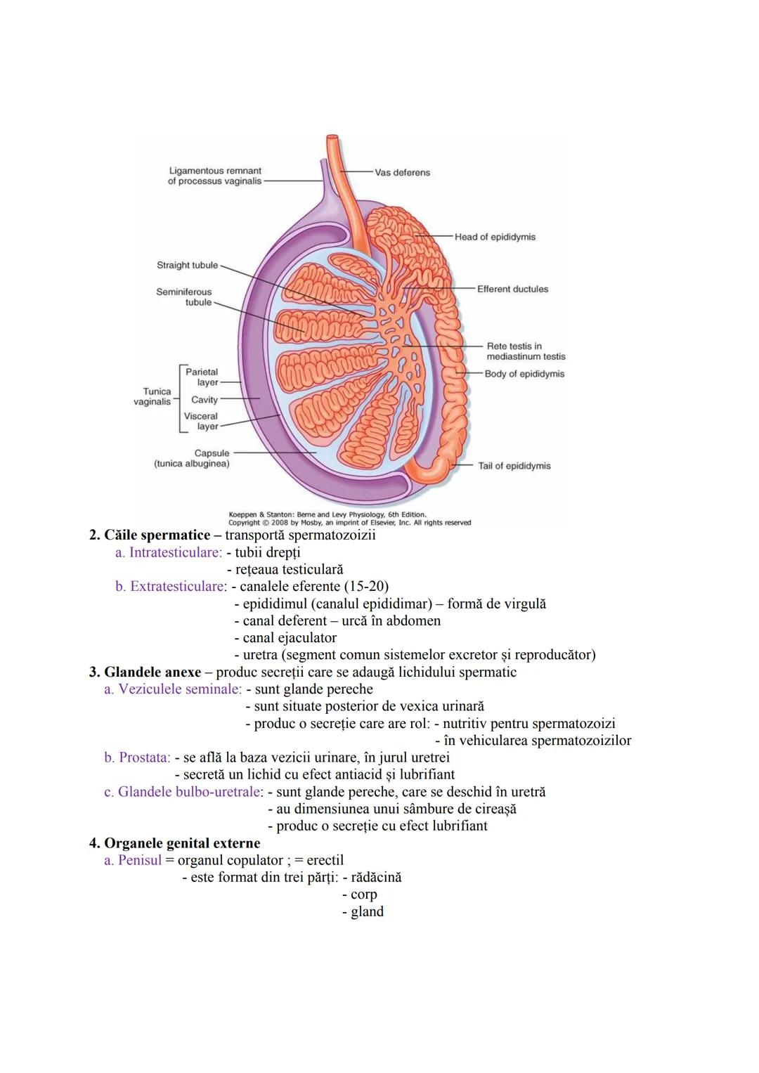 Alcătuire:
Componente
1. GONADE = glande mixte
2. CAI (CONDUCTE)
GENITALE
FUNCŢIA DE REPRODUCERE
SISTEMUL REPRODUCĂTOR (GENITAL)
Sistemul re