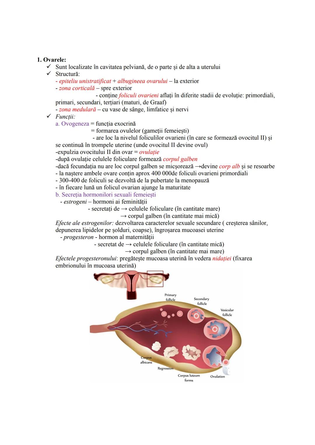Alcătuire:
Componente
1. GONADE = glande mixte
2. CAI (CONDUCTE)
GENITALE
FUNCŢIA DE REPRODUCERE
SISTEMUL REPRODUCĂTOR (GENITAL)
Sistemul re