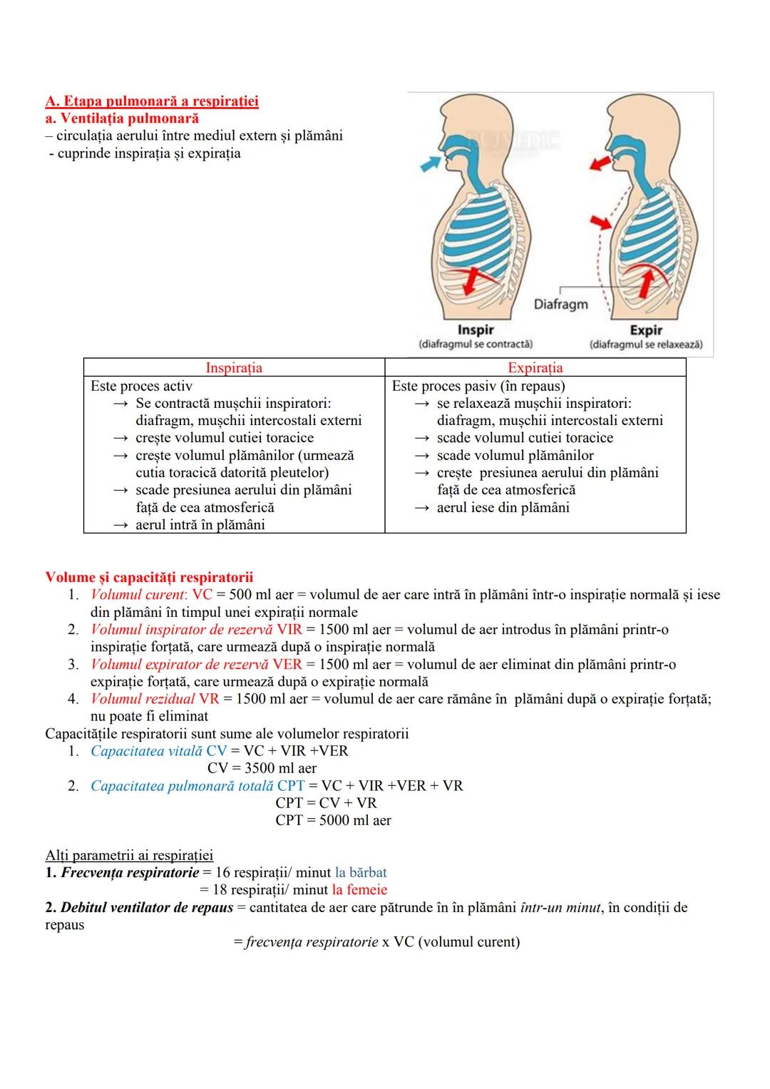 # FUNCȚIILE DE NUTRIŢIE
- realizează schimbul de substanțe între organism şi mediu
- cuprind reacțiile chimice din celule (ex. de sinteză a