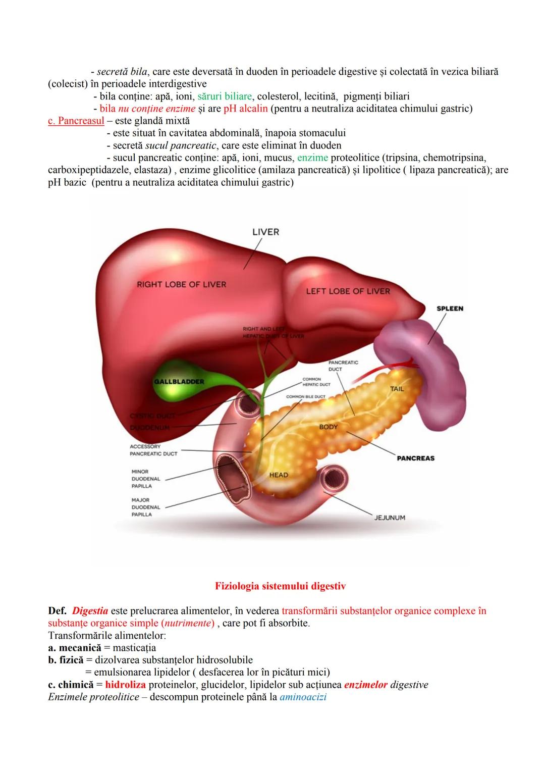 # FUNCȚIILE DE NUTRIŢIE
- realizează schimbul de substanțe între organism şi mediu
- cuprind reacțiile chimice din celule (ex. de sinteză a