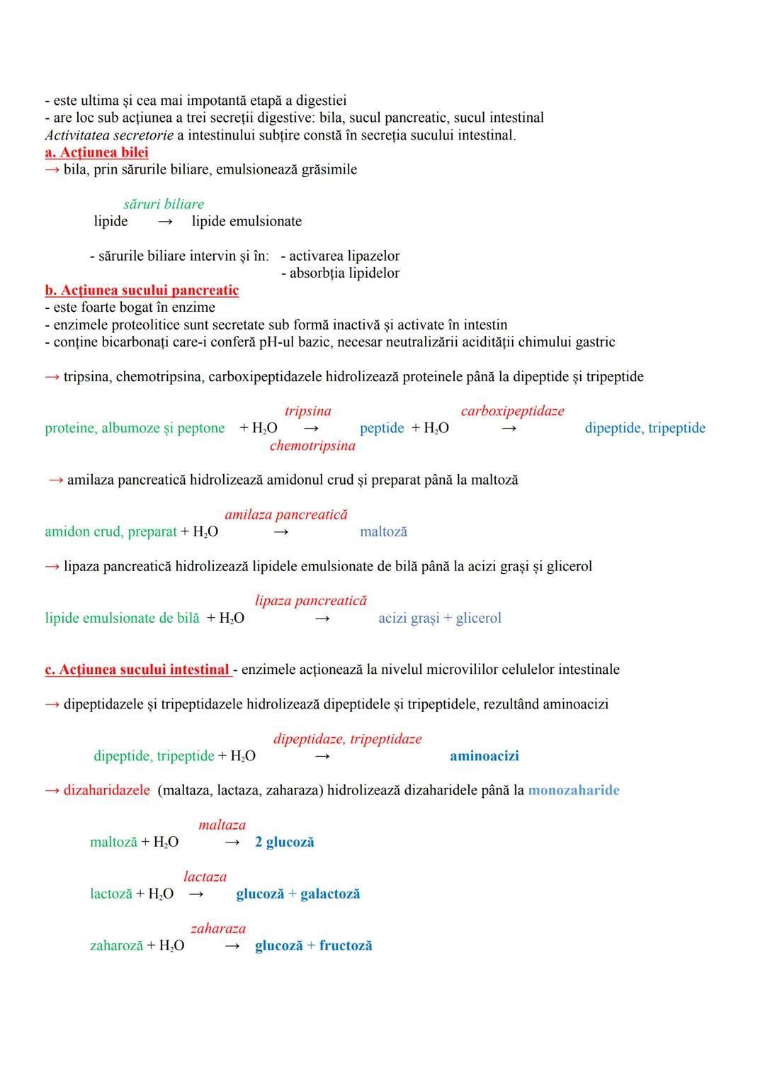 # FUNCȚIILE DE NUTRIŢIE
- realizează schimbul de substanțe între organism şi mediu
- cuprind reacțiile chimice din celule (ex. de sinteză a