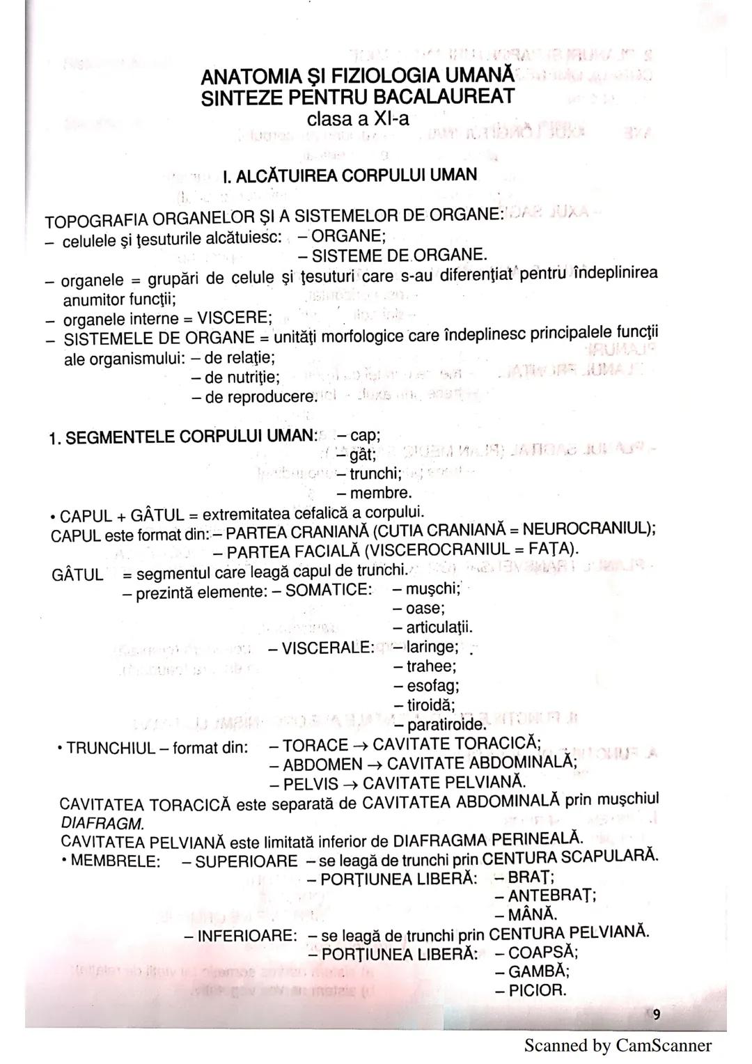 --- OCR Start ---
ANATOMIA ŞI FIZIOLOGIA UMANĂ
SINTEZE PENTRU BACALAUREAT
clasa a XI-a
1. ALCĂTUIREA CORPULUI UMAN
TOPOGRAFIA ORGANELOR ŞI A