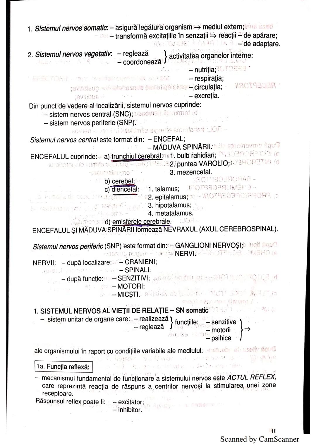 --- OCR Start ---
ANATOMIA ŞI FIZIOLOGIA UMANĂ
SINTEZE PENTRU BACALAUREAT
clasa a XI-a
1. ALCĂTUIREA CORPULUI UMAN
TOPOGRAFIA ORGANELOR ŞI A