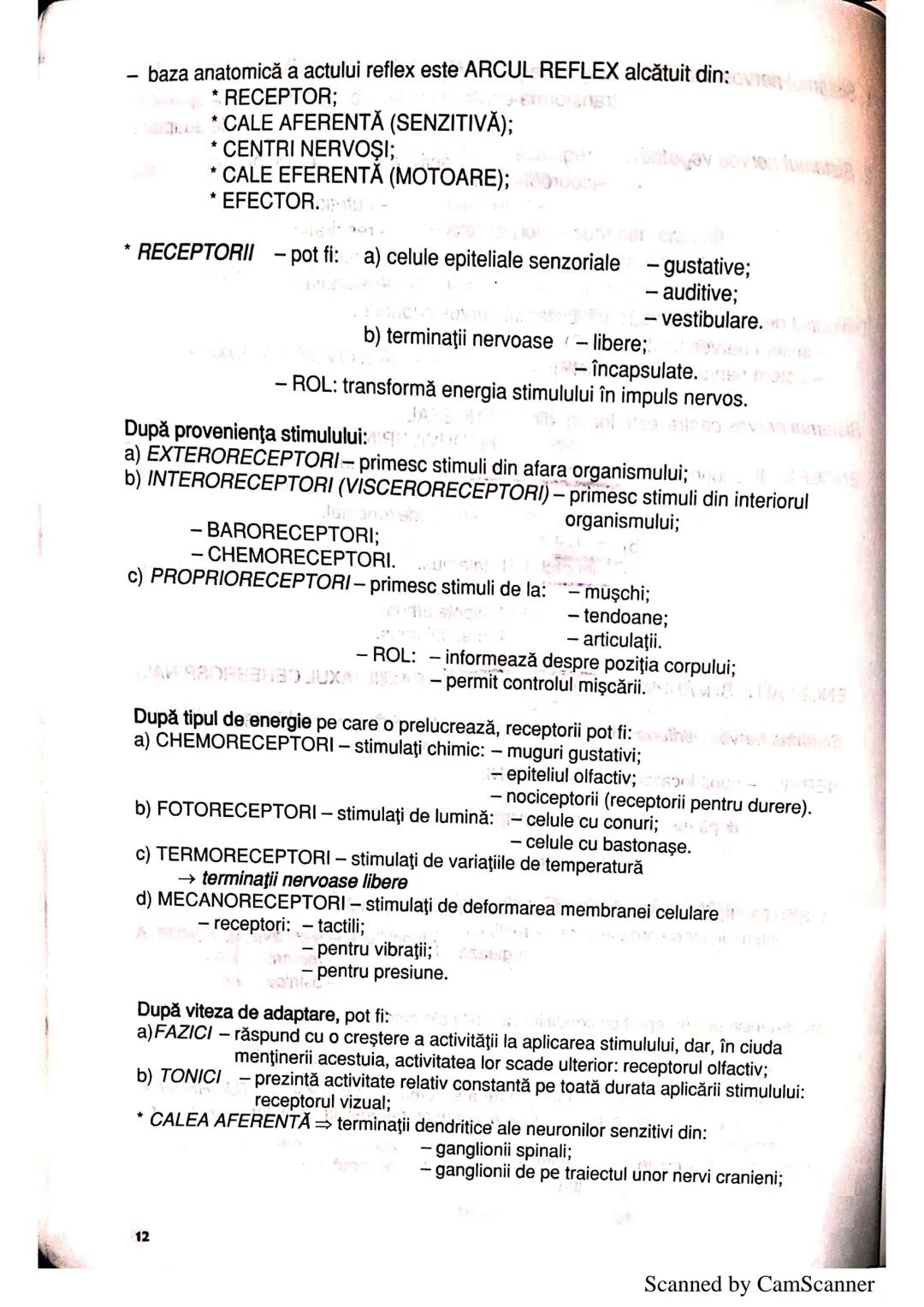 --- OCR Start ---
ANATOMIA ŞI FIZIOLOGIA UMANĂ
SINTEZE PENTRU BACALAUREAT
clasa a XI-a
1. ALCĂTUIREA CORPULUI UMAN
TOPOGRAFIA ORGANELOR ŞI A