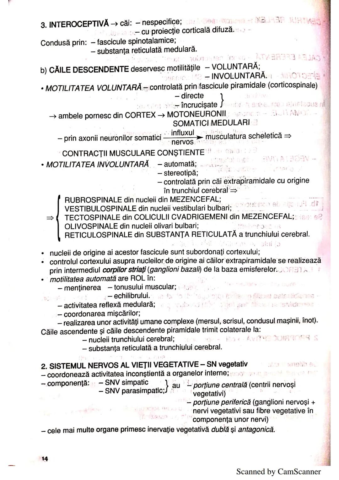 --- OCR Start ---
ANATOMIA ŞI FIZIOLOGIA UMANĂ
SINTEZE PENTRU BACALAUREAT
clasa a XI-a
1. ALCĂTUIREA CORPULUI UMAN
TOPOGRAFIA ORGANELOR ŞI A
