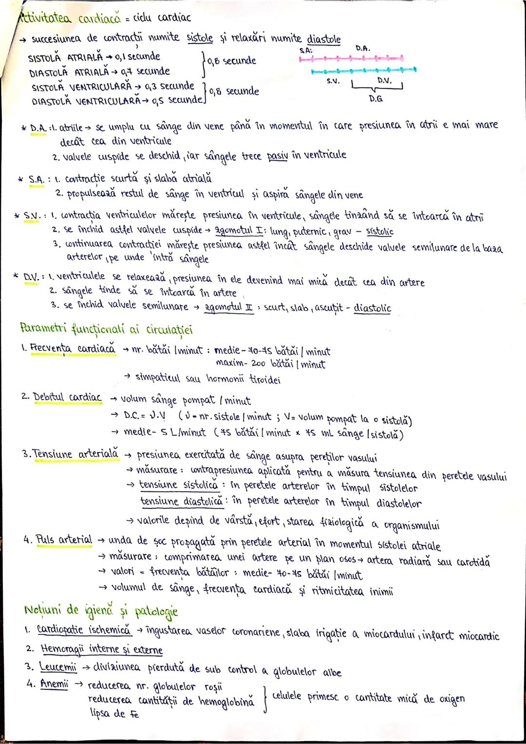 # PLANURI SI RAPORTURI ANATOMICE
## TOPOGRAFIA ORGANELORN
Axele corpului omenesc.
lateral drept
anterior (ventral)
Superior (cranial)
p