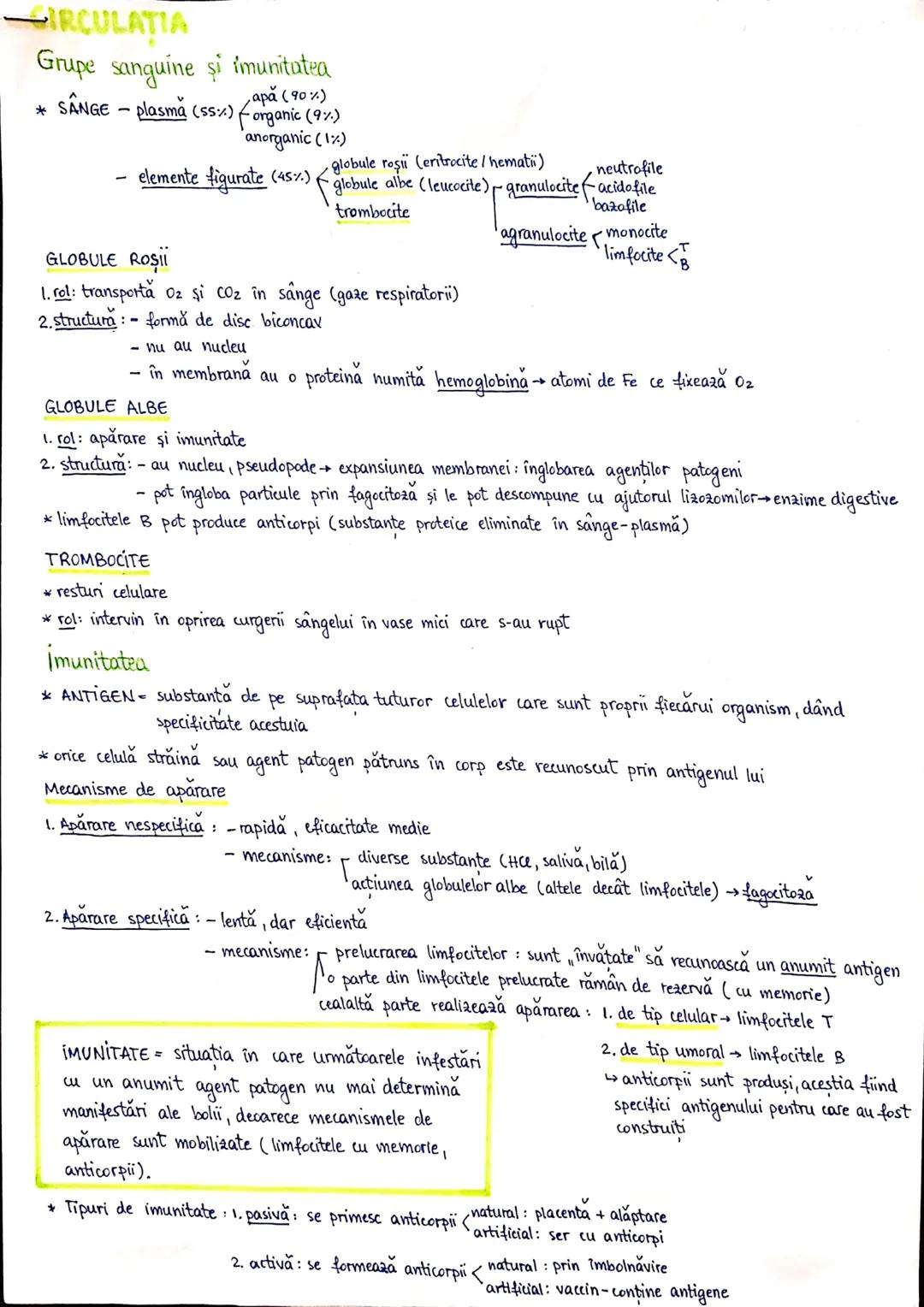 # PLANURI SI RAPORTURI ANATOMICE
# TOPOGRAFIA ORGANELORN
Axele corpului omenesc.
Superior (cranial)
posterior(dorsal)
* ax longitudinal (al