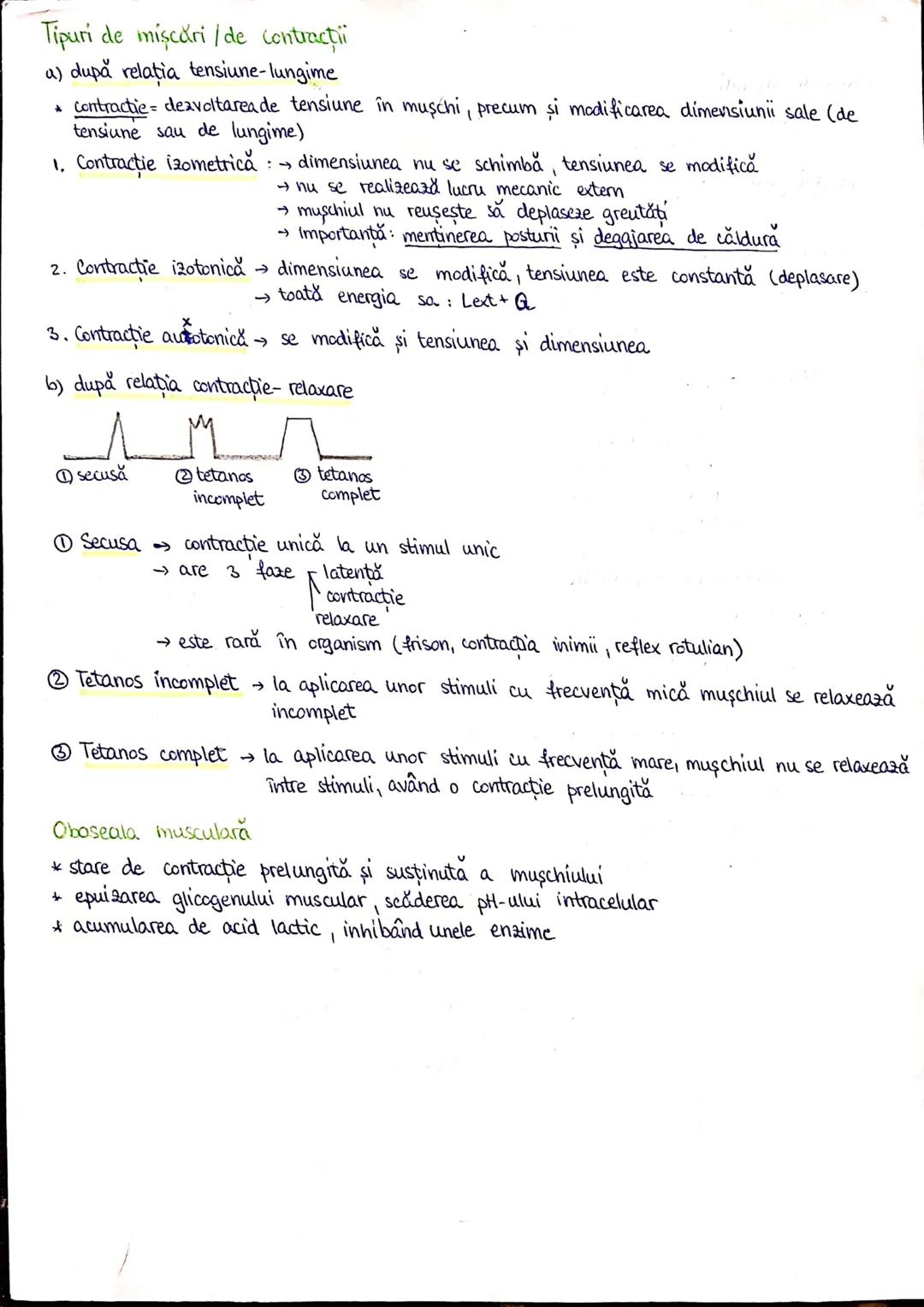 # PLANURI SI RAPORTURI ANATOMICE
# TOPOGRAFIA ORGANELORN
Axele corpului omenesc.
Superior (cranial)
posterior(dorsal)
* ax longitudinal (al