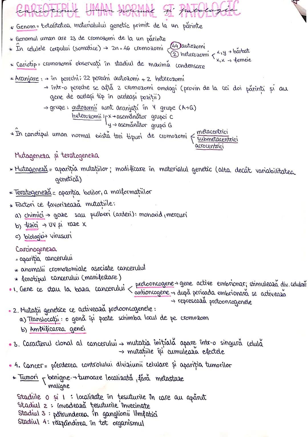 # PLANURI SI RAPORTURI ANATOMICE
# TOPOGRAFIA ORGANELORN
Axele corpului omenesc.
Superior (cranial)
posterior(dorsal)
* ax longitudinal (al
