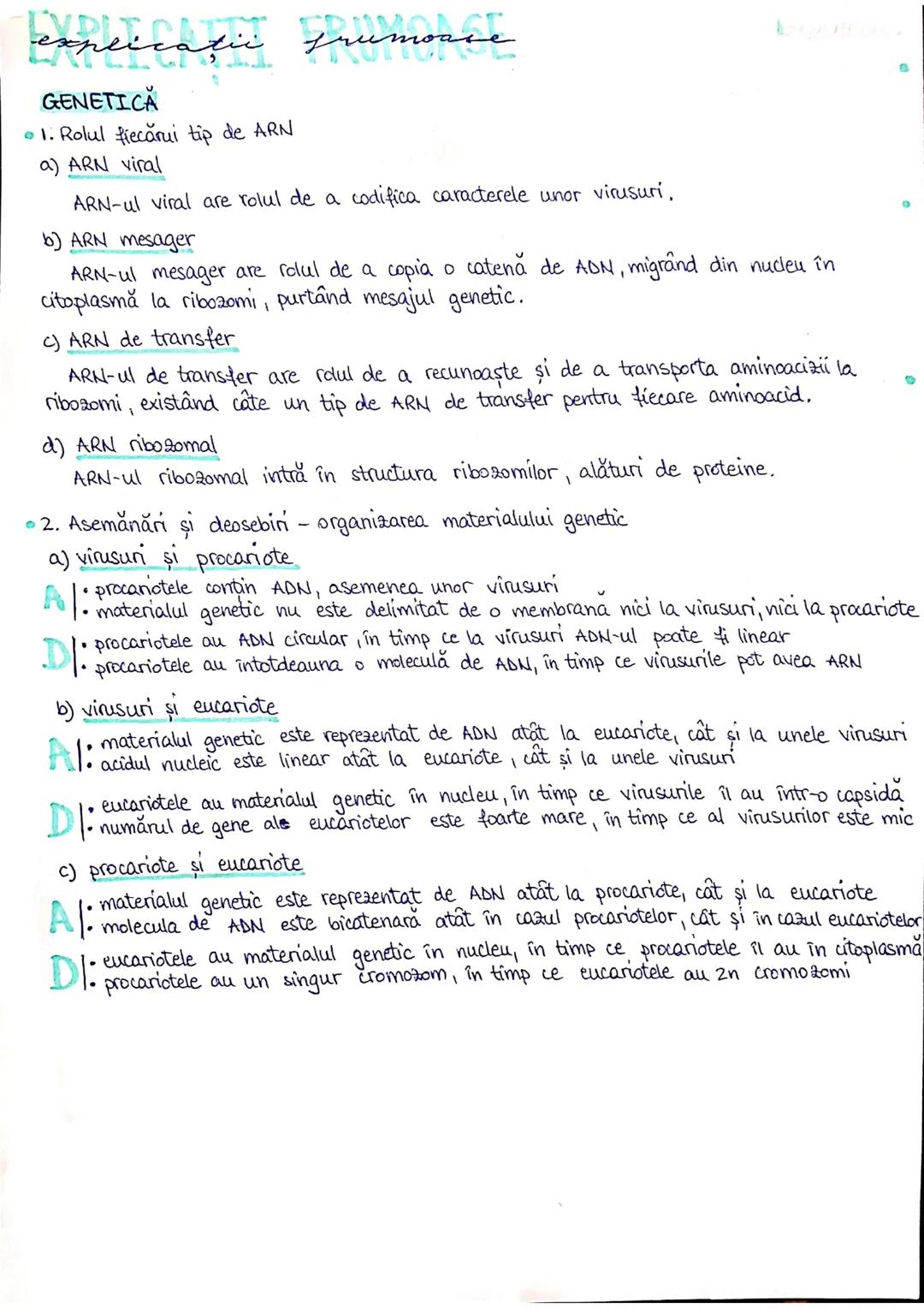 # PLANURI SI RAPORTURI ANATOMICE
# TOPOGRAFIA ORGANELORN
Axele corpului omenesc.
Superior (cranial)
posterior(dorsal)
* ax longitudinal (al