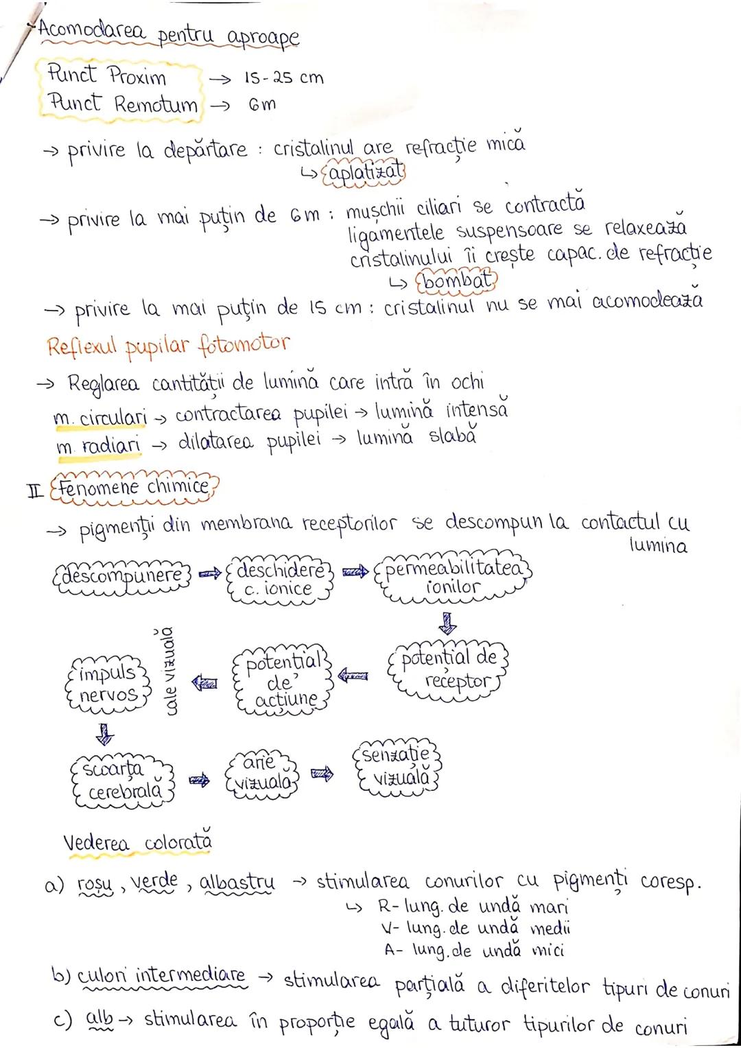 # PLANURI SI RAPORTURI ANATOMICE
# TOPOGRAFIA ORGANELORN
Axele corpului omenesc.
Superior (cranial)
posterior(dorsal)
* ax longitudinal (al