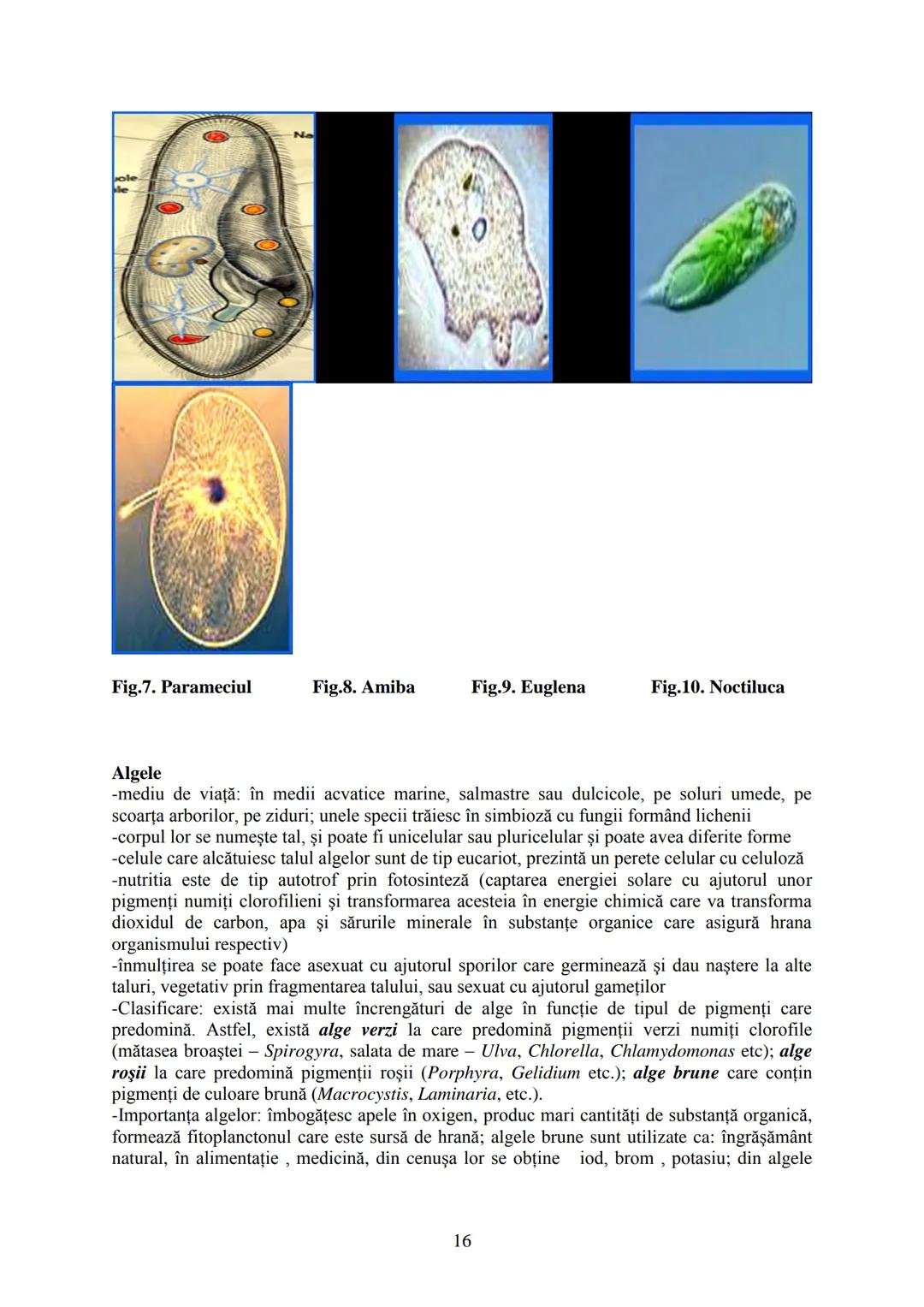 # I.
# II.
# III.
CELULA - UNITATEA STRUCTURALĂ ȘI FUNCȚIONALĂ A VIEŢII
EREDITATEA ŞI VARIABILITATEA
DIVERSITATEA LUMII VII
BIOLOGIA este șt