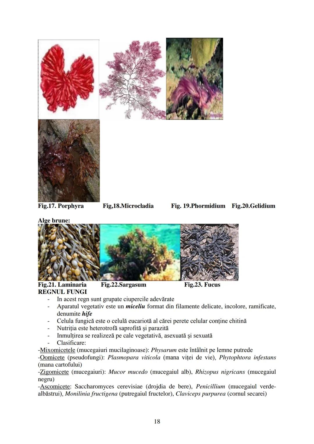 # I.
# II.
# III.
CELULA - UNITATEA STRUCTURALĂ ȘI FUNCȚIONALĂ A VIEŢII
EREDITATEA ŞI VARIABILITATEA
DIVERSITATEA LUMII VII
BIOLOGIA este șt