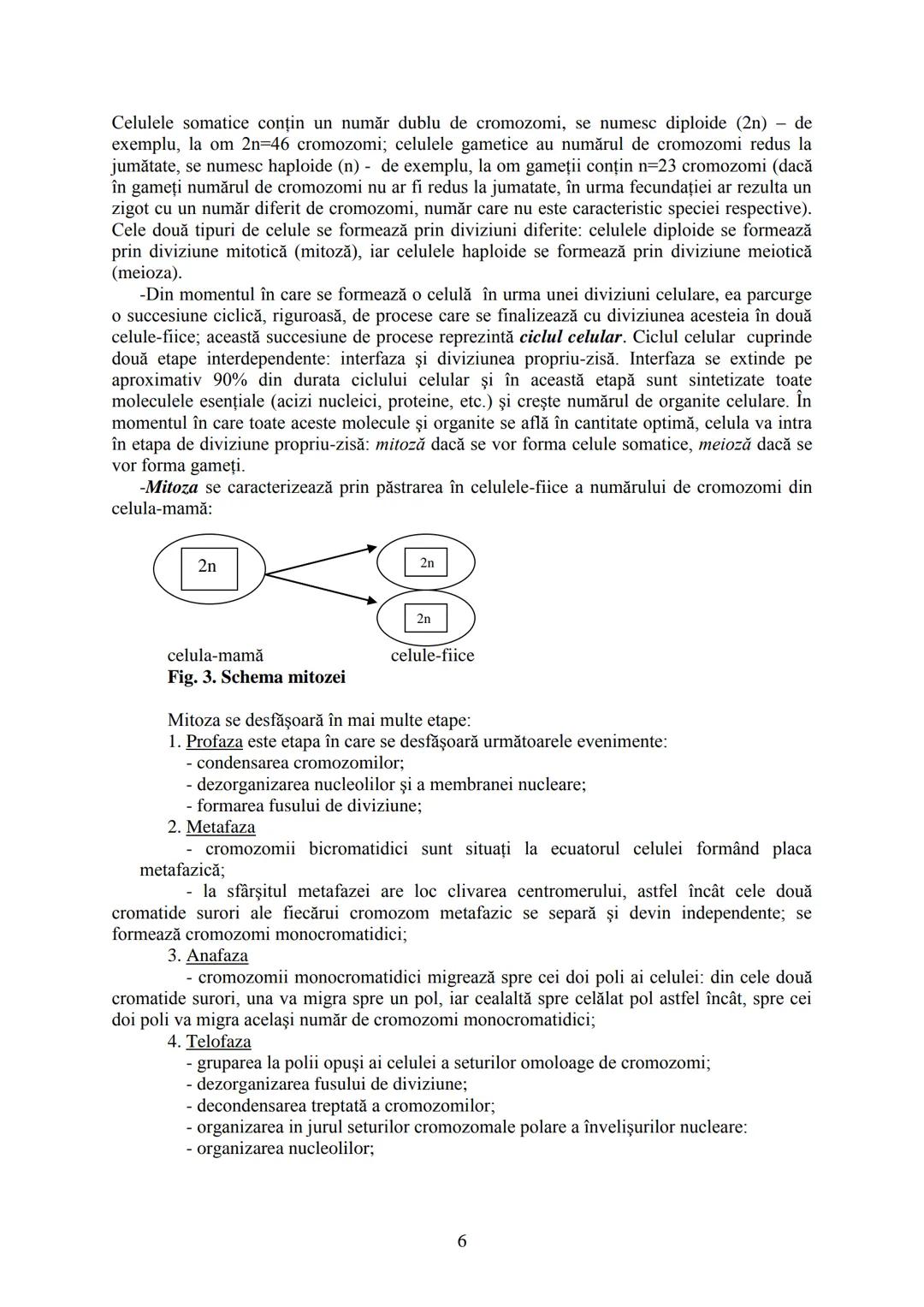 # I.
# II.
# III.
CELULA - UNITATEA STRUCTURALĂ ȘI FUNCȚIONALĂ A VIEŢII
EREDITATEA ŞI VARIABILITATEA
DIVERSITATEA LUMII VII
BIOLOGIA este șt