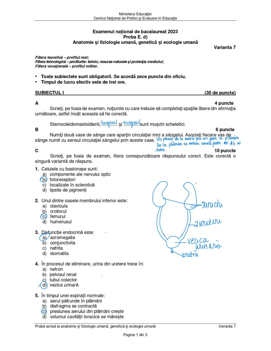 --- OCR Start ---
Sistemul nervos (SN)
Clasificare
după topografie
central perifouc
encefal măduva
Spināru
nervi ganglioni
Onervos
după fiz