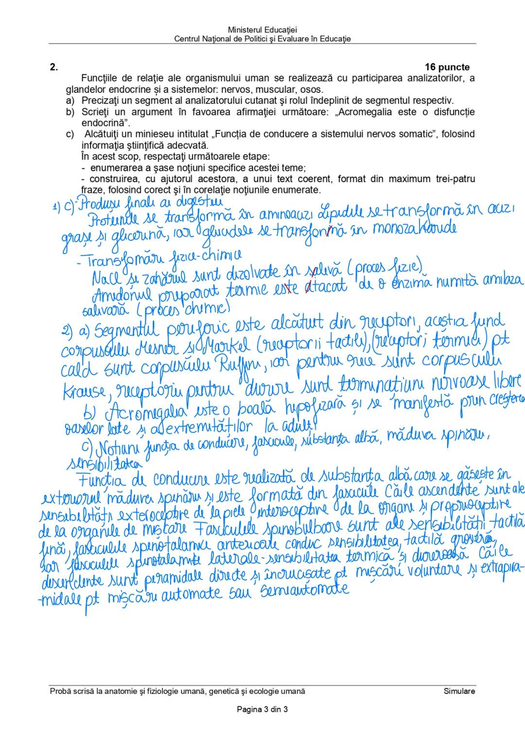--- OCR Start ---
Sistemul nervos (SN)
Clasificare
după topografie
central perifouc
encefal măduva
Spināru
nervi ganglioni
Onervos
după fiz