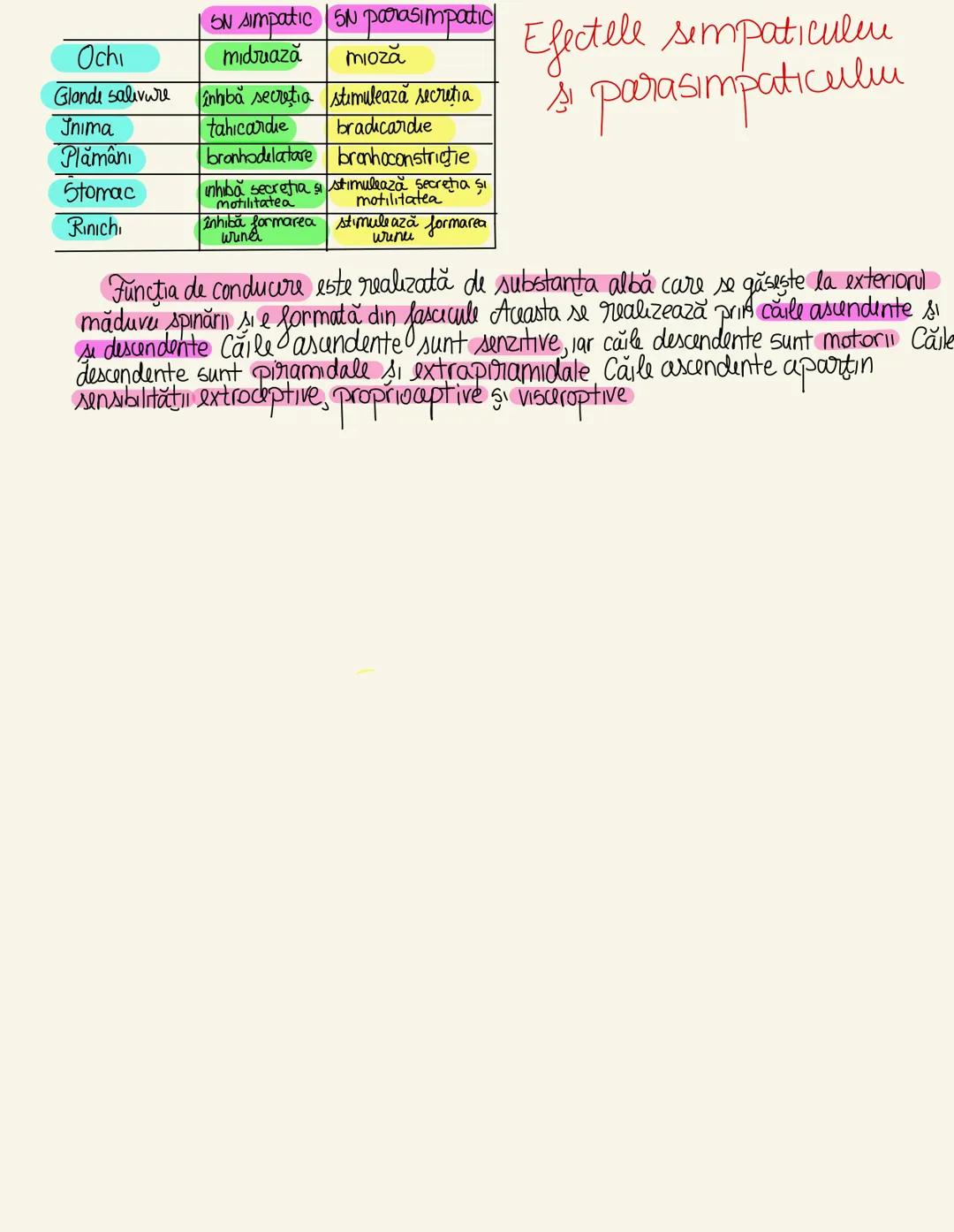 --- OCR Start ---
Sistemul nervos (SN)
Clasificare
după topografie
central perifouc
encefal măduva
Spināru
nervi ganglioni
Onervos
după fiz