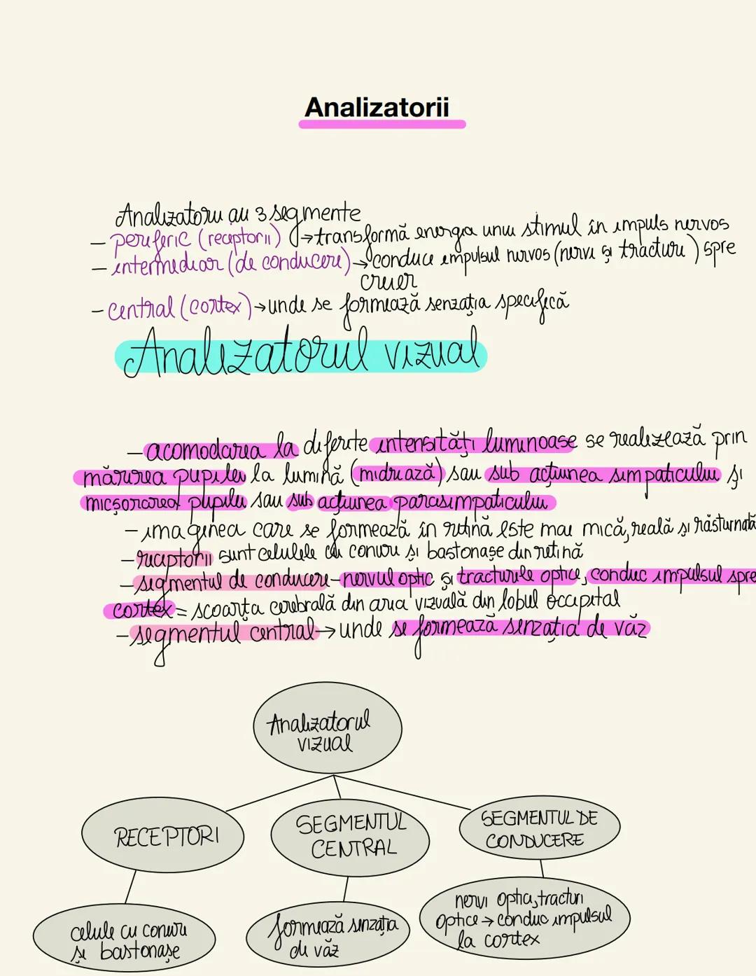 --- OCR Start ---
Sistemul nervos (SN)
Clasificare
după topografie
central perifouc
encefal măduva
Spināru
nervi ganglioni
Onervos
după fiz
