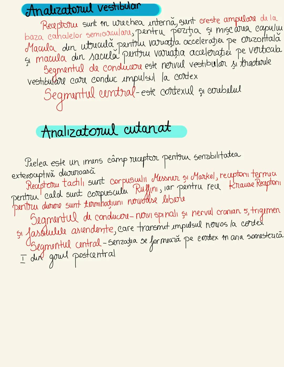 --- OCR Start ---
Sistemul nervos (SN)
Clasificare
după topografie
central perifouc
encefal măduva
Spināru
nervi ganglioni
Onervos
după fiz