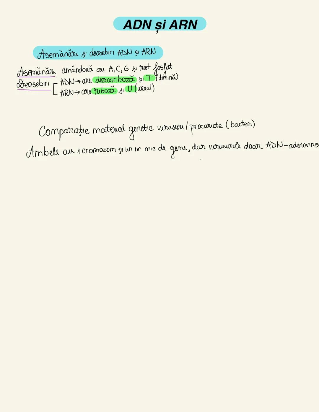 --- OCR Start ---
Sistemul nervos (SN)
Clasificare
după topografie
central perifouc
encefal măduva
Spināru
nervi ganglioni
Onervos
după fiz