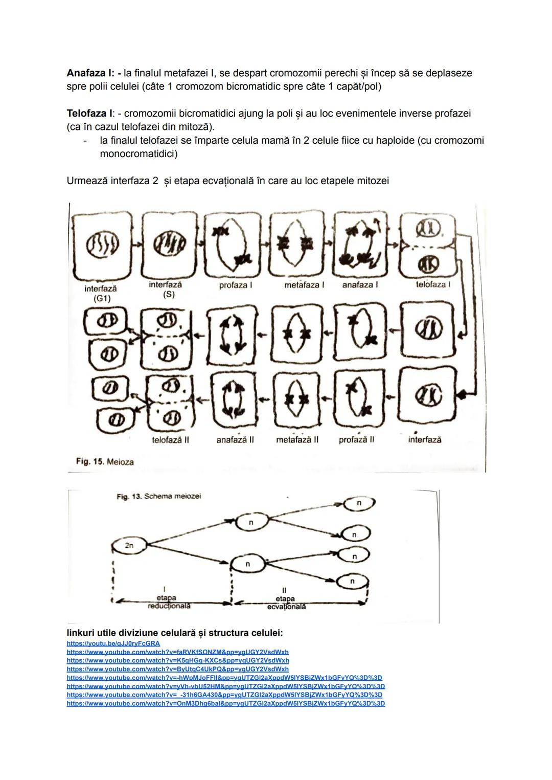--- OCR Start ---
Celula
Deşi organismele vii diferă ca aspect și mod de viață, acestea se aseamănă prin
structura și funcțiile pe care le î