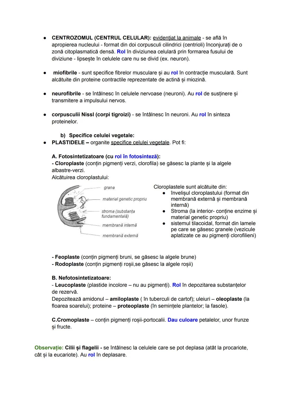 --- OCR Start ---
Celula
Deşi organismele vii diferă ca aspect și mod de viață, acestea se aseamănă prin
structura și funcțiile pe care le î