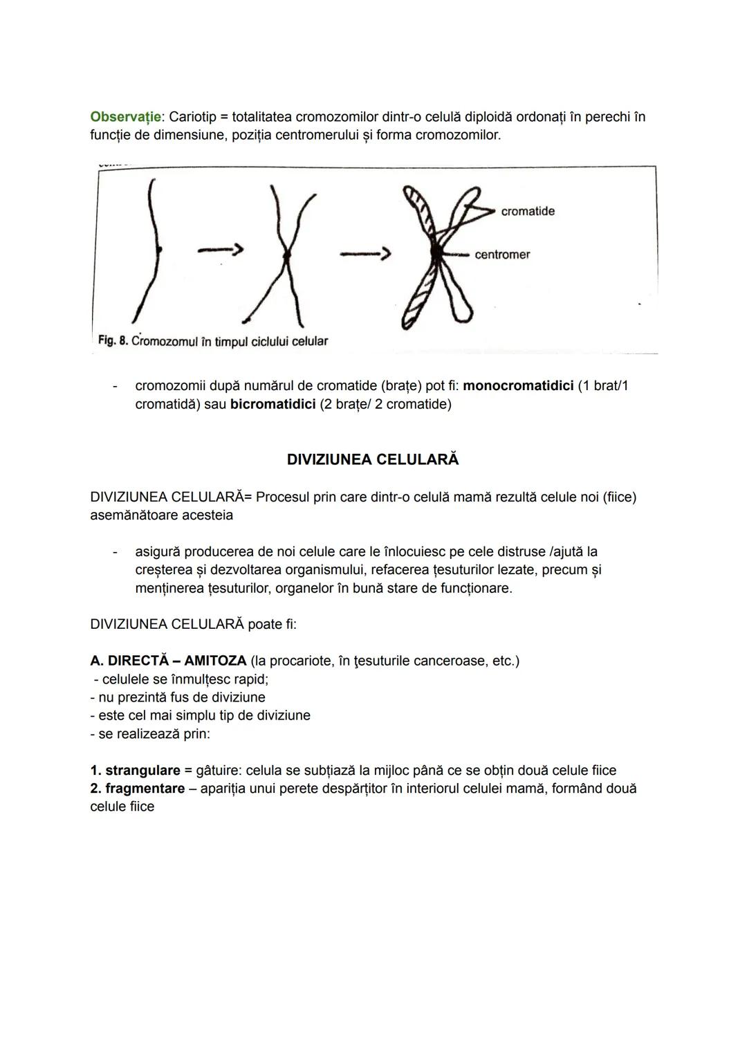 --- OCR Start ---
Celula
Deşi organismele vii diferă ca aspect și mod de viață, acestea se aseamănă prin
structura și funcțiile pe care le î