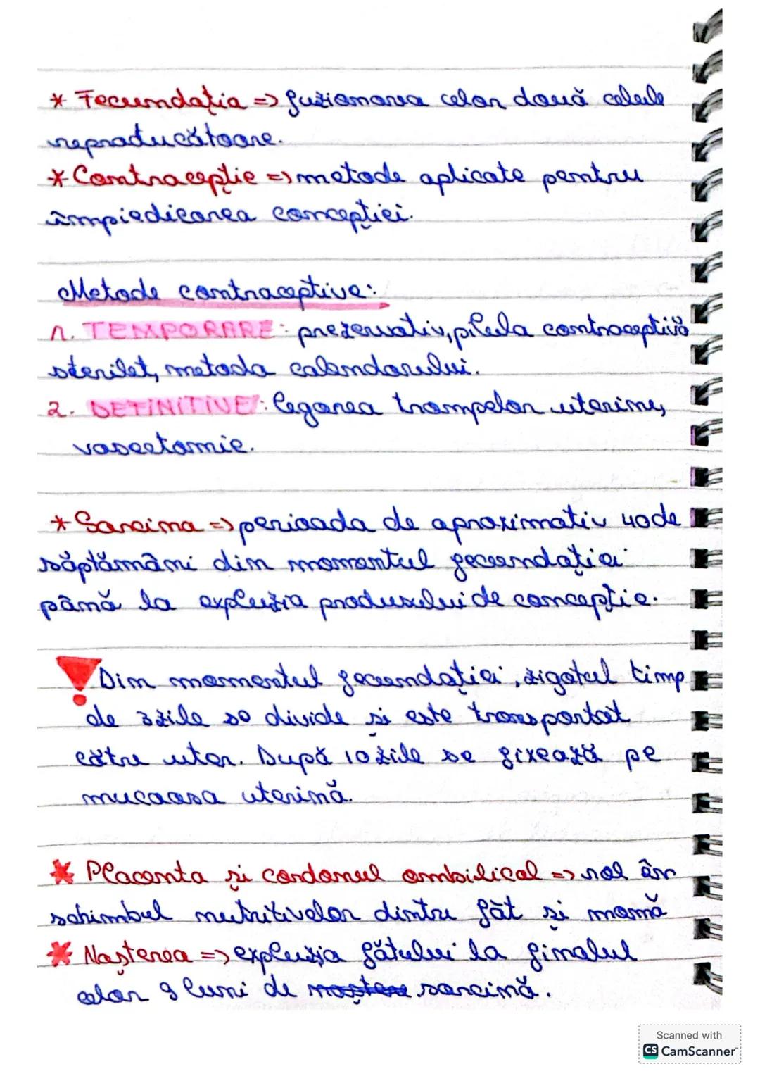 SISTEMUL
REPRODUCATOR
Sistemul repraducătar masculin este
alcătuit din:
- gonade = testicule
- cai suprarenale
- glande anexe
- organ reprod