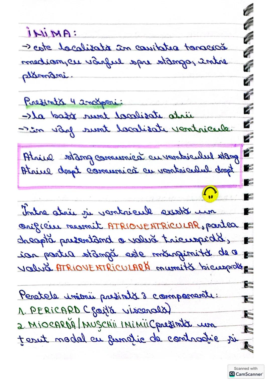 SISTEMUL
CIRCULATOR
Sistemul circulator: inimă + vase de
sânge.
Sangele este un tesut conjunctiv
fluid, alcătuit din 60% plasmă si
aproximat