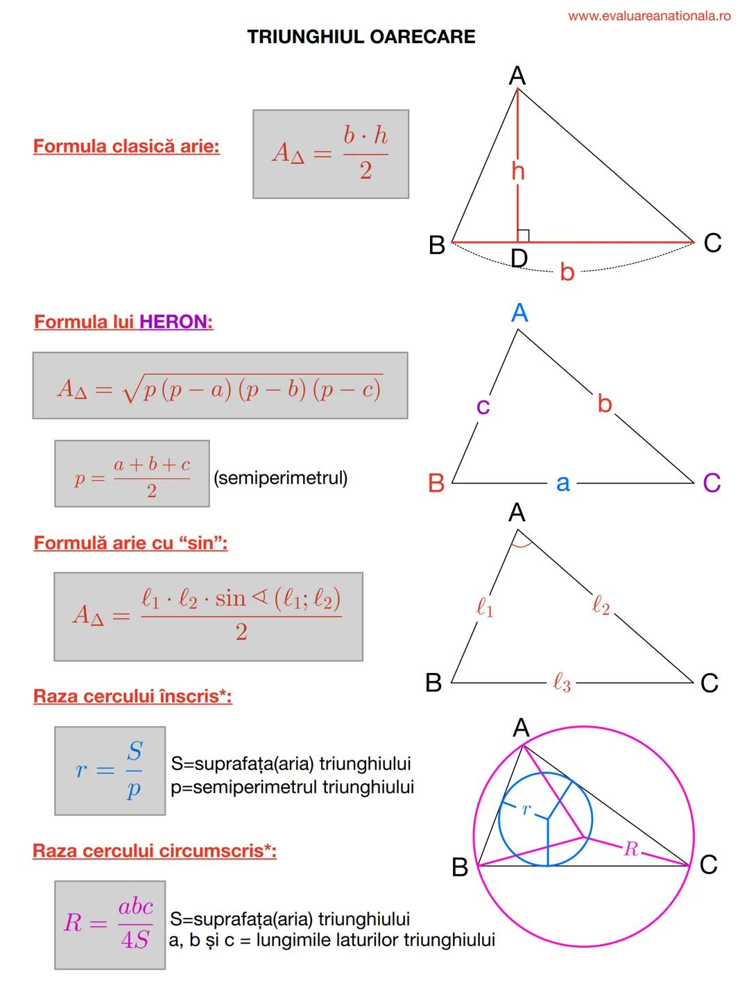 I. BISECTOAREA
Def.
www.evaluareanationala.ro
LINII IMPORTANTE ÎN TRIUNGHI
Se numeşte BISECTOARE acea semidreaptă care împarte unghiul în do