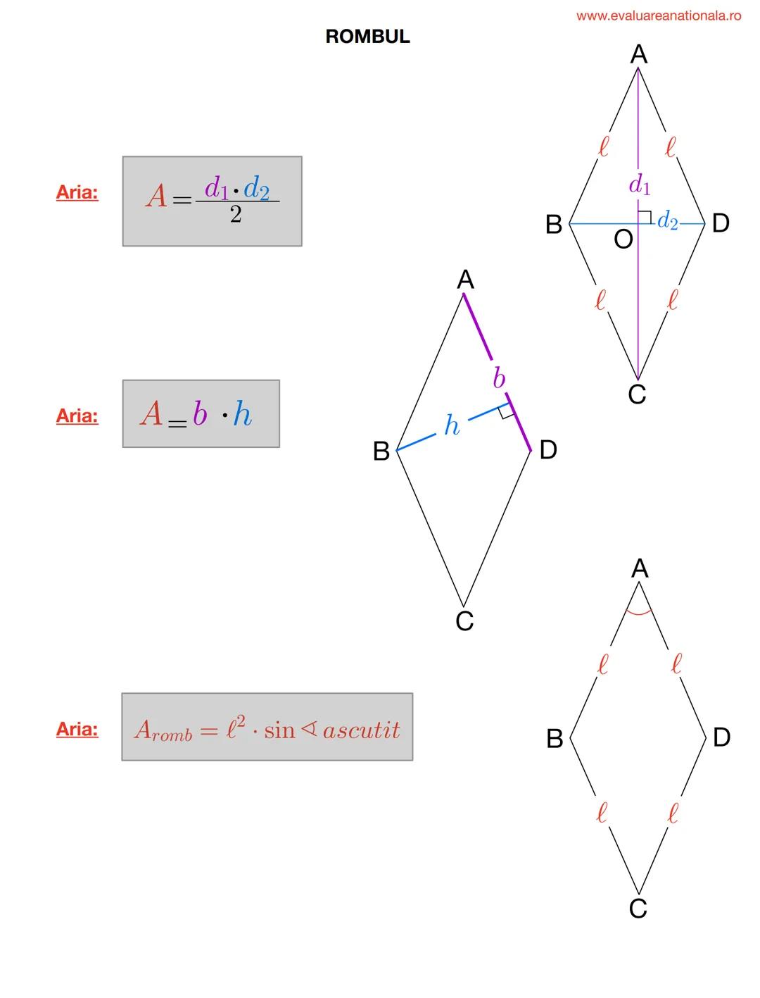 I. BISECTOAREA
Def.
www.evaluareanationala.ro
LINII IMPORTANTE ÎN TRIUNGHI
Se numeşte BISECTOARE acea semidreaptă care împarte unghiul în do