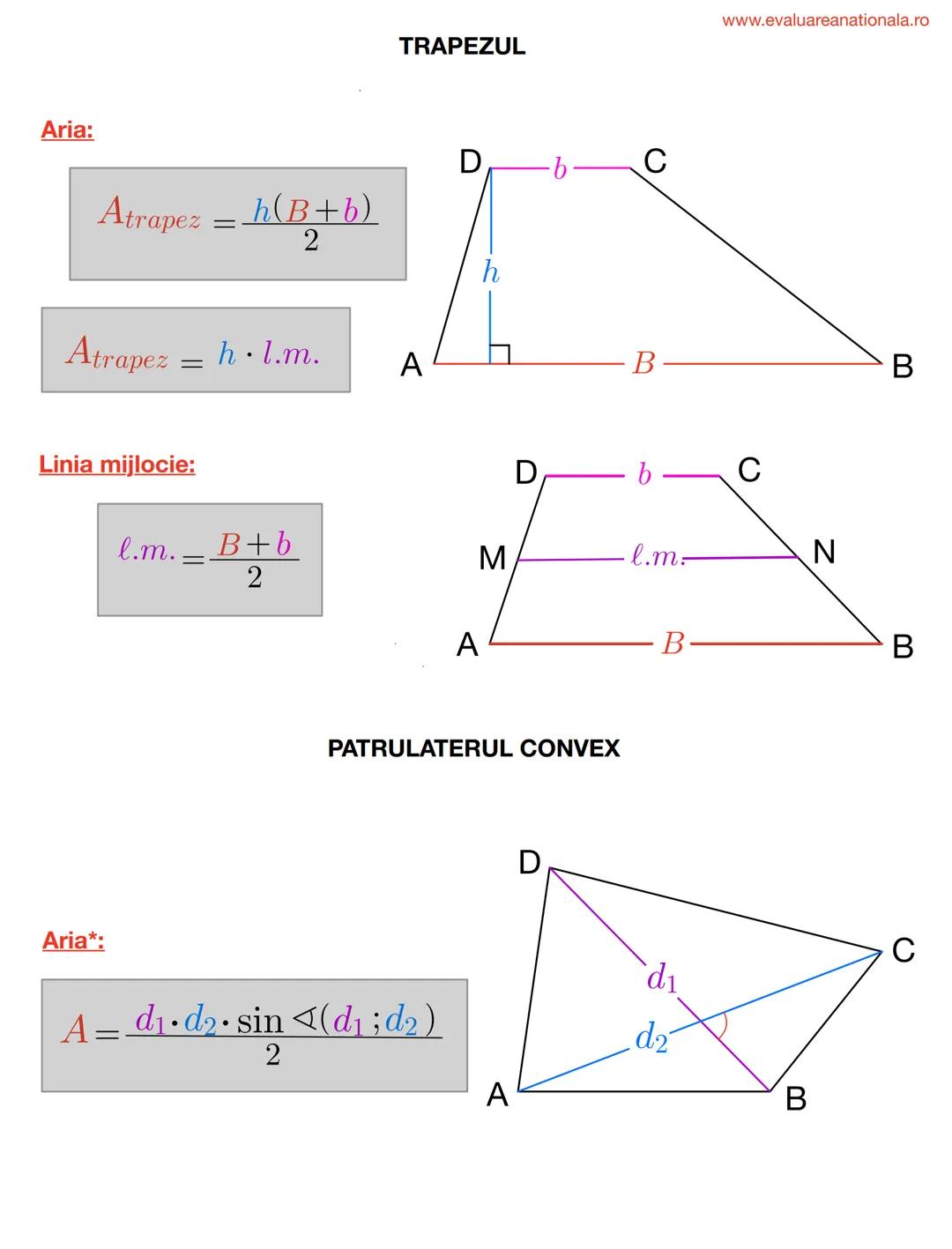 I. BISECTOAREA
Def.
www.evaluareanationala.ro
LINII IMPORTANTE ÎN TRIUNGHI
Se numeşte BISECTOARE acea semidreaptă care împarte unghiul în do
