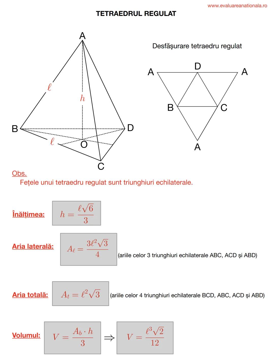 I. BISECTOAREA
Def.
www.evaluareanationala.ro
LINII IMPORTANTE ÎN TRIUNGHI
Se numeşte BISECTOARE acea semidreaptă care împarte unghiul în do